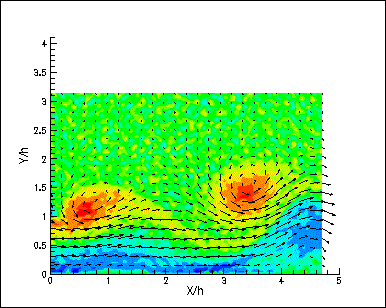 Superimposed Wall Jet Velocity and Vorticity Field